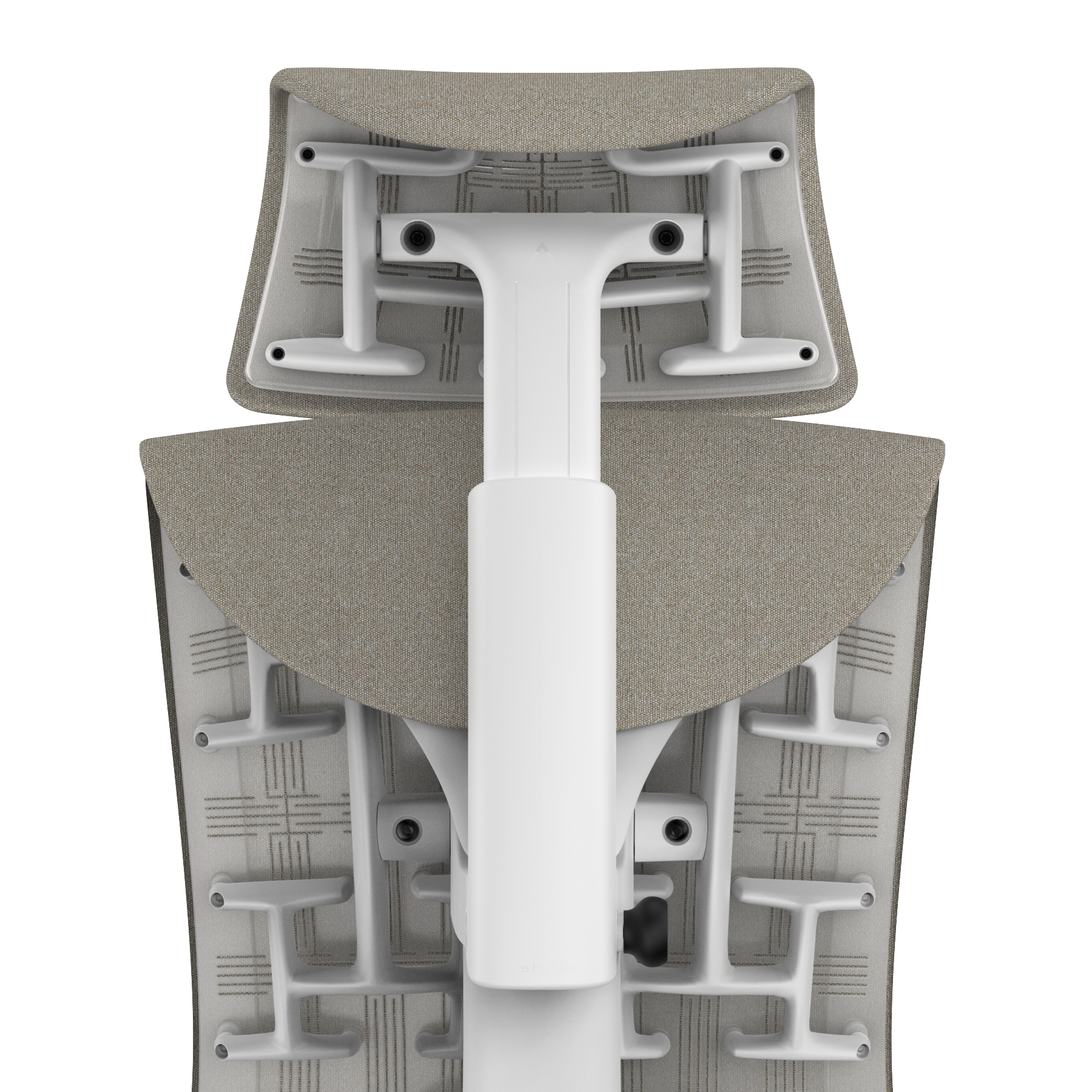 Pine Cone Sync - White Frame, Transparent Back