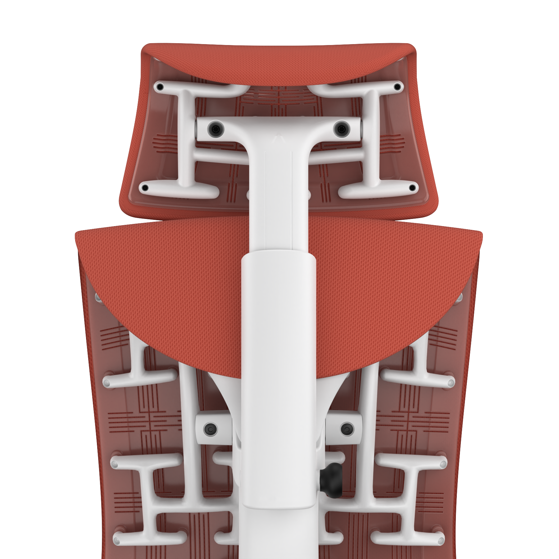 Poppy Rhythm - White Frame, Transparent Back