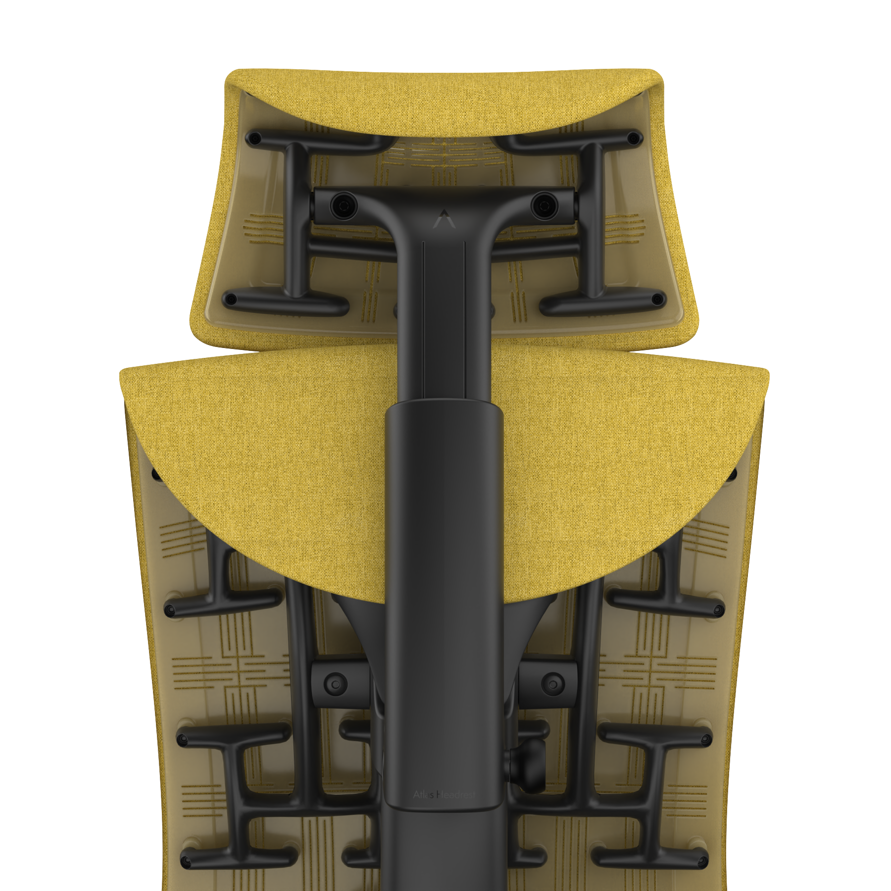 Citrus Medley - Graphite Frame, Transparent Back