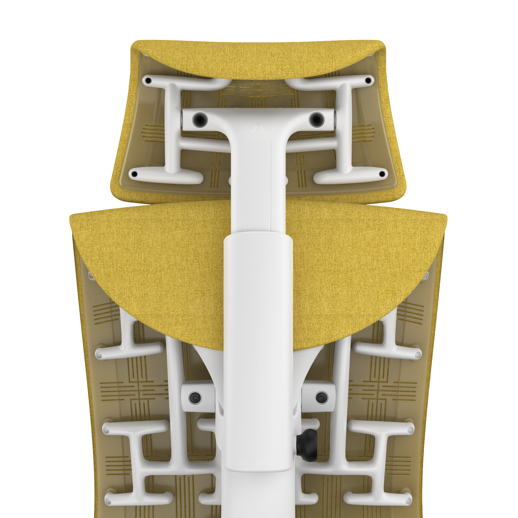 Citrus Medley - White Frame, Transparent Back