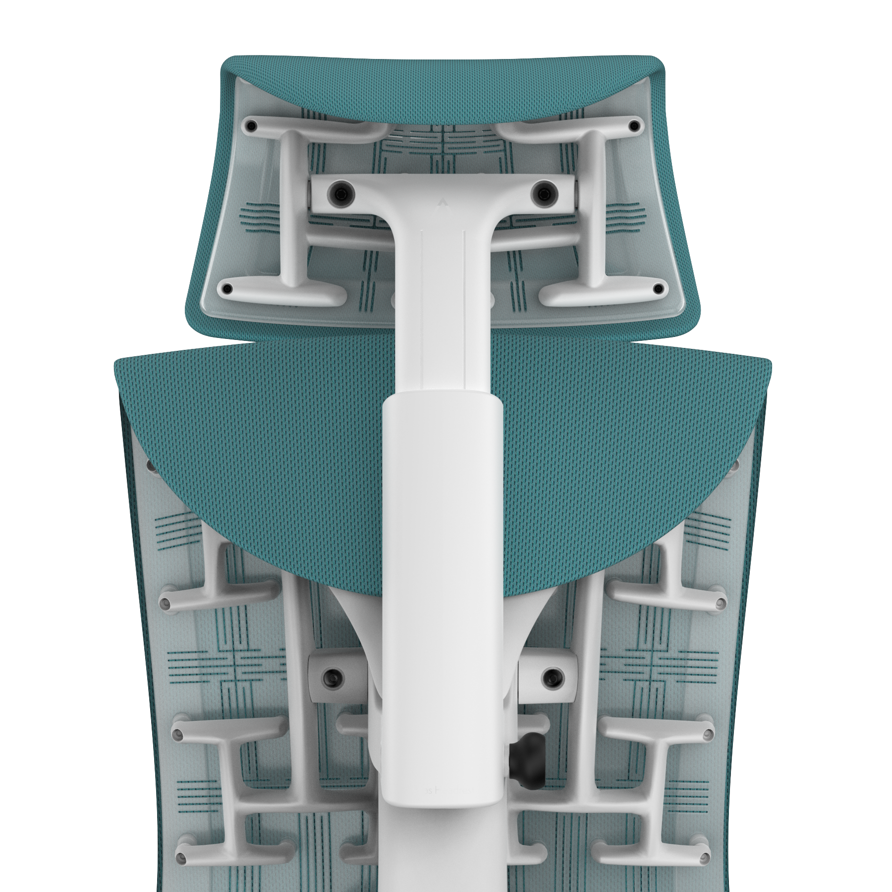 Peacock Rhythm - White Frame, Transparent Back