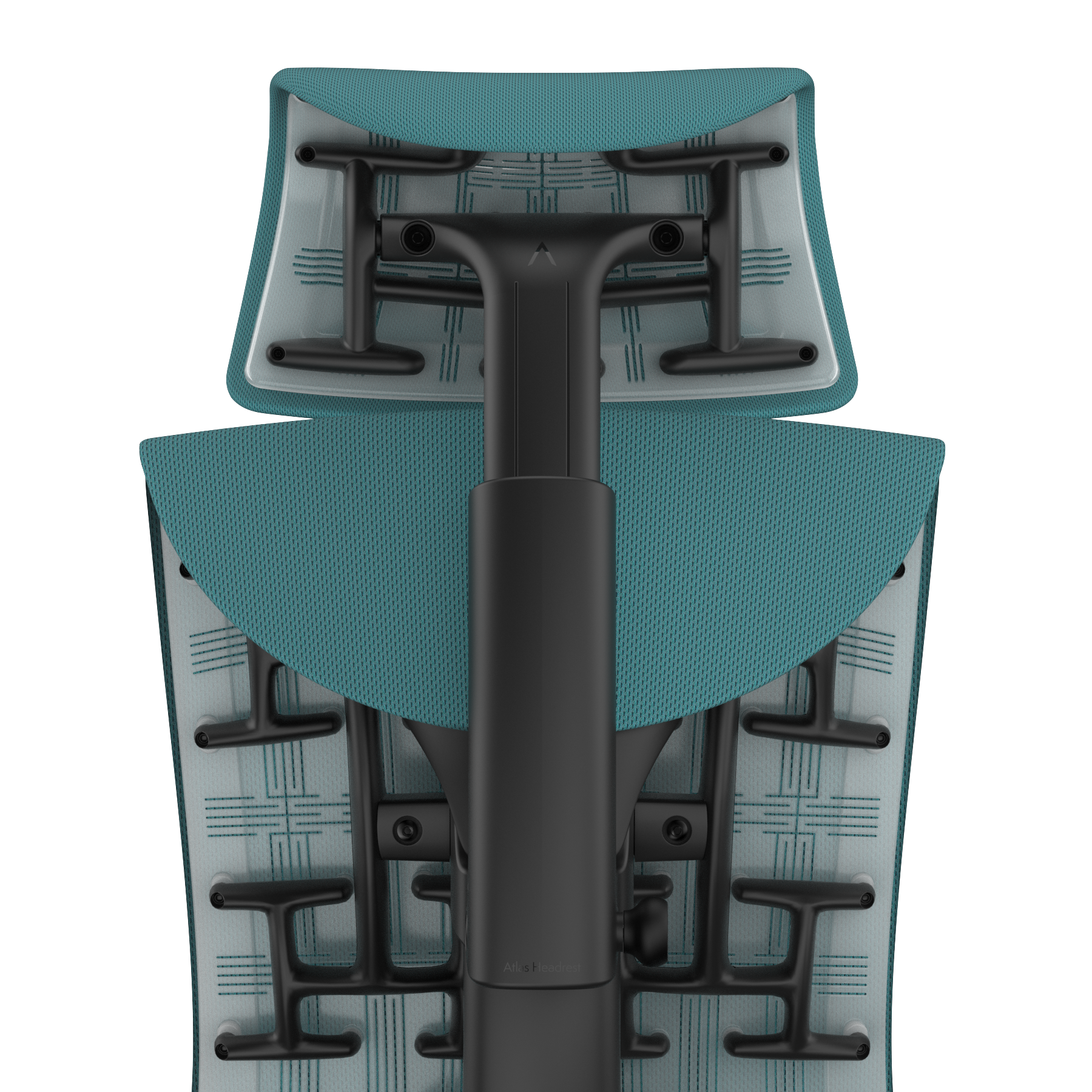 Peacock Rhythm - Graphite Frame, Transparent Back